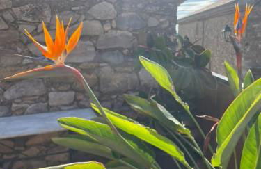 Gite charme et confort - Foto 14