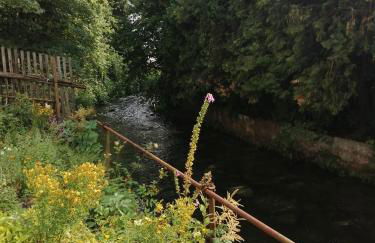 Haus Königstein FeWo Bielablick - Foto 19