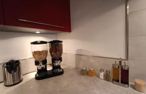 T3 Lumineux - Berges de la Garonne - Parking - Photo 9