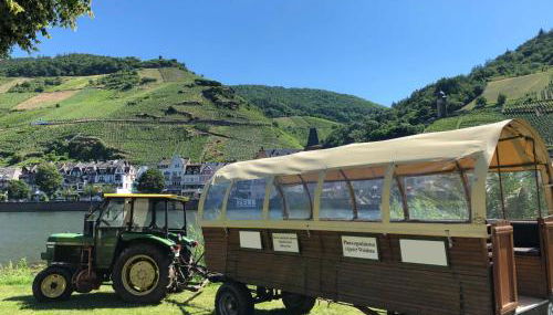 Ferienhaus Maring - Foto 3