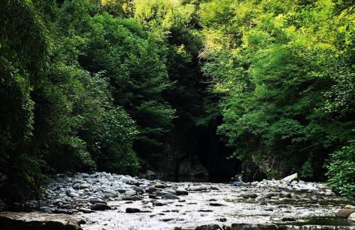 Casa Volpe - Foto 32