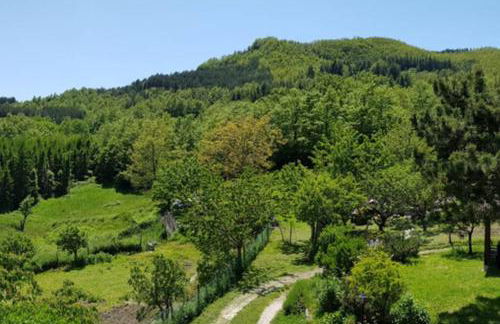La Sala Vecchia - Lovely Tuscan Holiday house Badia Prataglia, Casentino Valley - Foto 25