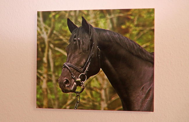 Ferienhaus am Garder See Inselblick - Photo 30