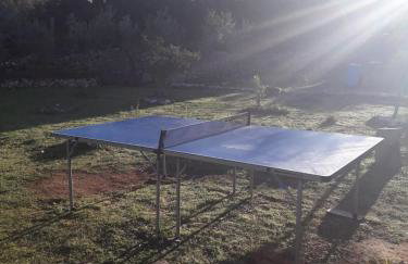 Jenny`s House - Photo 16