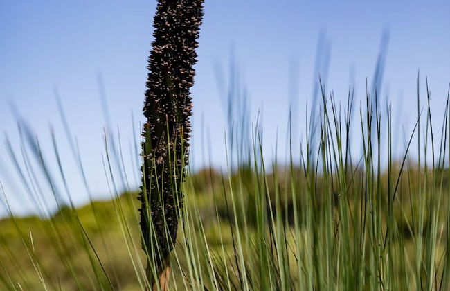 Clothiers Creek Farm - Photo 36