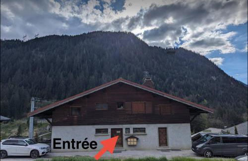 Appt Rénové et Moderne - 3 chambres - Châtel - Multi Pass - MÉNAGE INCLUS - Foto 35