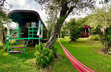 Azienda agricola Della Mezzaluna - Foto 7