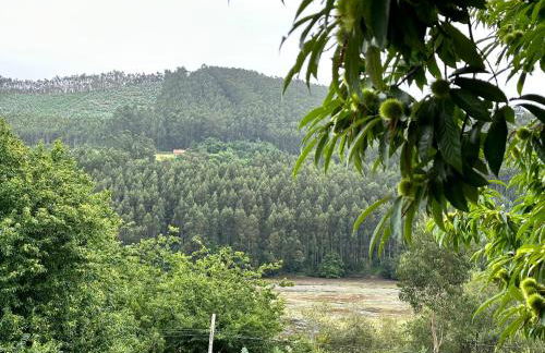 Casita la 'Dore - Foto 25