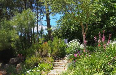 Quinta Da Relva - A traditional farmhouse in a stunning location - Foto 62