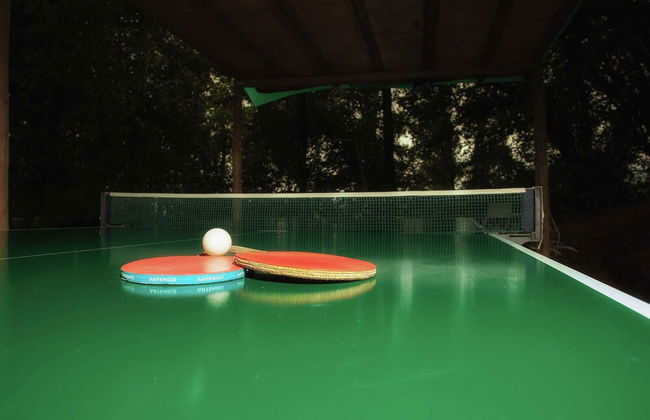 Apartment in Tuscany With Pool & Garden - Foto 14