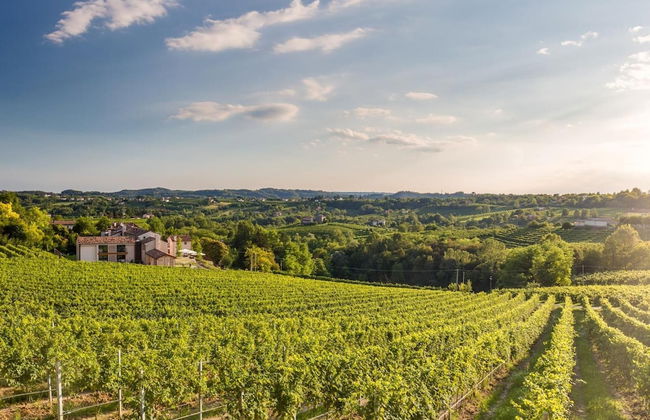 Tenuta Sant'Eufemia - Foto 46