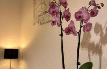 City Altstadt Appartement in unmittelbarer Nähe zu Saale und Marktplatz mit privatem Parkplatz - Foto 9