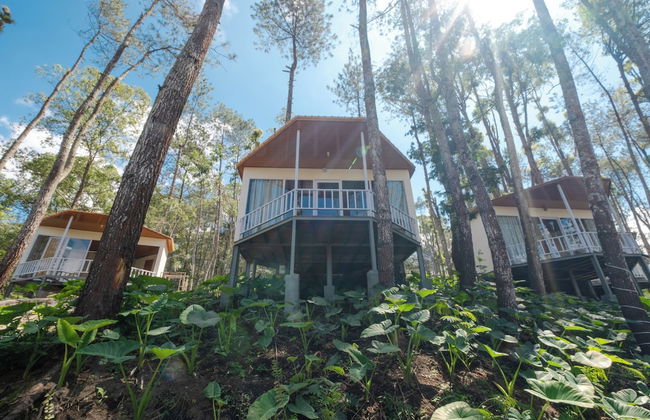 La Pino Mount Batur and Hot Spring - Foto 27