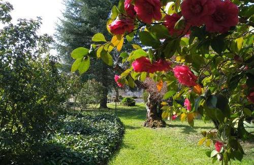 Casas Do Zagão - Turismo Rural - Foto 39