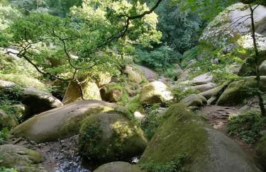 LES HAUTS VENTS - Foto 46