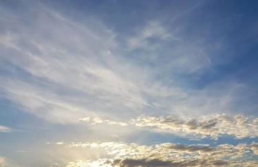 Horizon View - Photo 25