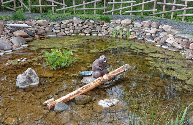 Chalupa U Bobra - Foto 41