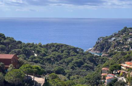 Luxury Villa Marina - Foto 2