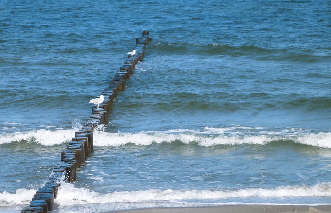 Ferienwohnung Villa Nicole in Zingst - Foto 12