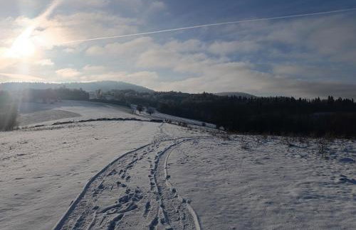 Dębowy Zakątek - Foto 38