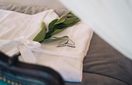 Arca dos Animais - Farming & SPA - Foto 31