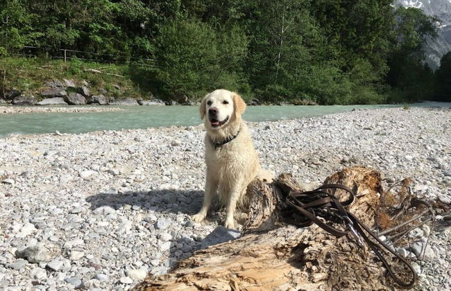 Apartment Silver Moon - Foto 10