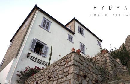 Hydra Erato - Foto 20