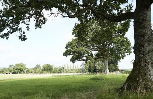 Downclose Piggeries - Photo 21