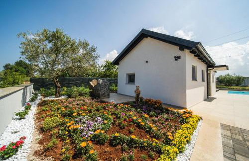 Leonardo House - Foto 54