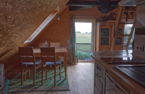 Hof-Silberweide - Foto 6