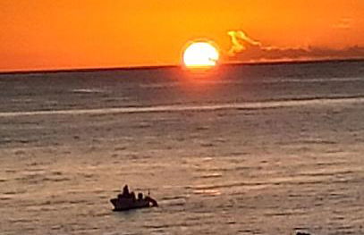 Casa da Salga, Biscoitos - Photo 14