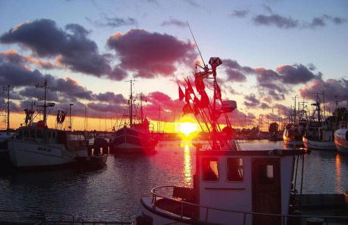 Ferienwohnung in Lemkenhafen for 4 Personen - Foto 20