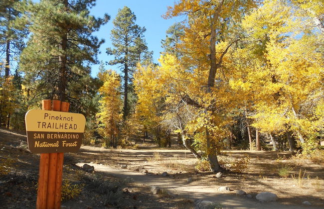 North Shore Lakefront - Photo 41