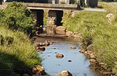 Forest Path luxury Studio Apartment with large bedroom bathroom and sauna Sleeps up to 4 - Photo 37