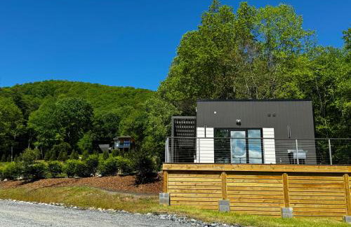 Couples Mirror Cabin- Reflections at Valley Bear Farms Resort - Foto 37
