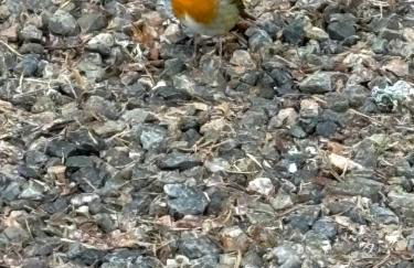 Seas the Day - self catering lodge North Uist - Foto 8