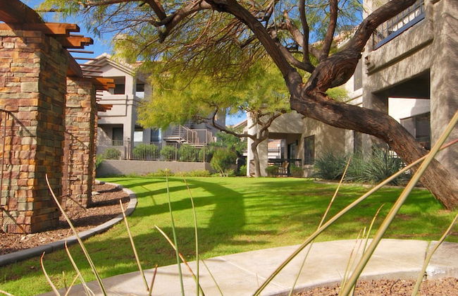 Raintree at Phoenix South Mountain Preserve - Foto 46