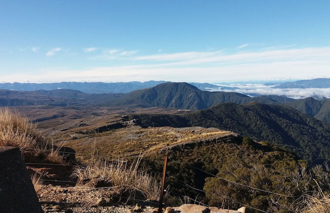 Carters Beach Holiday Studios - Foto 28