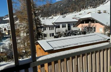 stella alpina - Foto 8