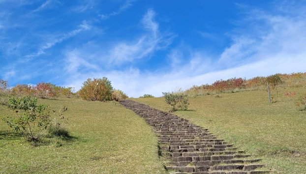 Excursion privée à Nara - Photo 2, Prêt pour cette excursion ?