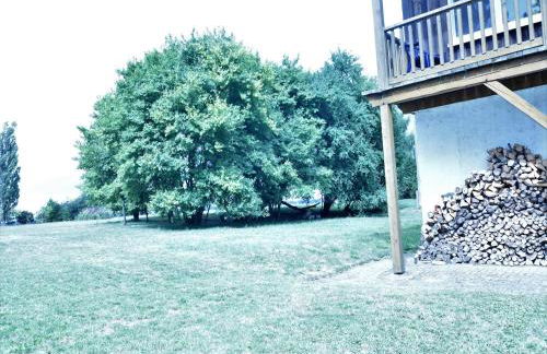 Luxuriose Ferienwohnung in Boddin mit Garten - Foto 35