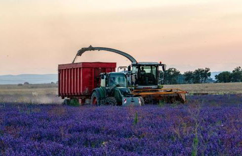 Domaine Demol - Photo 57