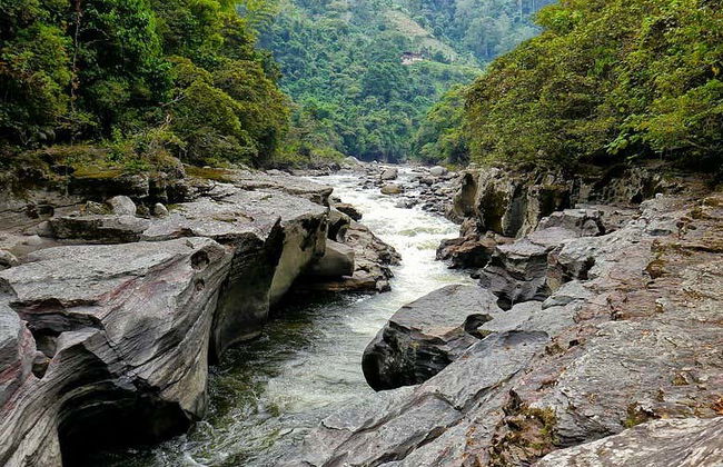 San Agustin Archaeological Park Day Trip - Photo 4