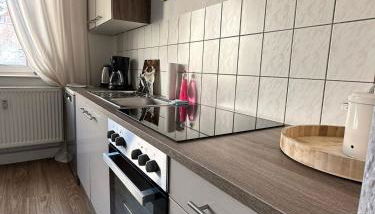 Gemütliche Wohnung in der Stadt 1 - Foto 3, stove, dishwasher, pet friendly