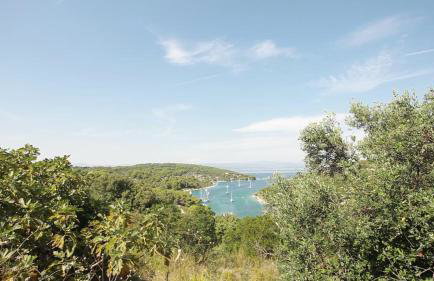 Apartments Salihbegovic - Foto 14