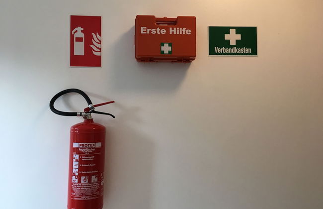 Sahara Falcon - Foto 70