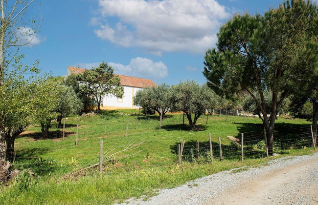 Farmhouse Dreams: Explore and Relax - Foto 50