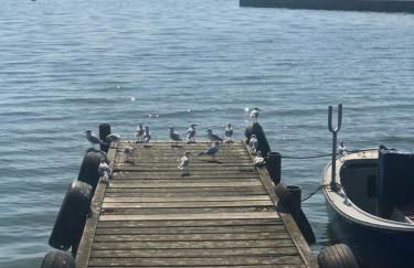 Ferienwohnung Goa auf Usedom - Foto 11