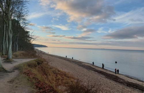 FeWo Windsbraut im Landhaus Immenbarg - Foto 19