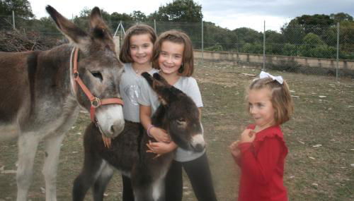 La Granja De Vitoria - Foto 2